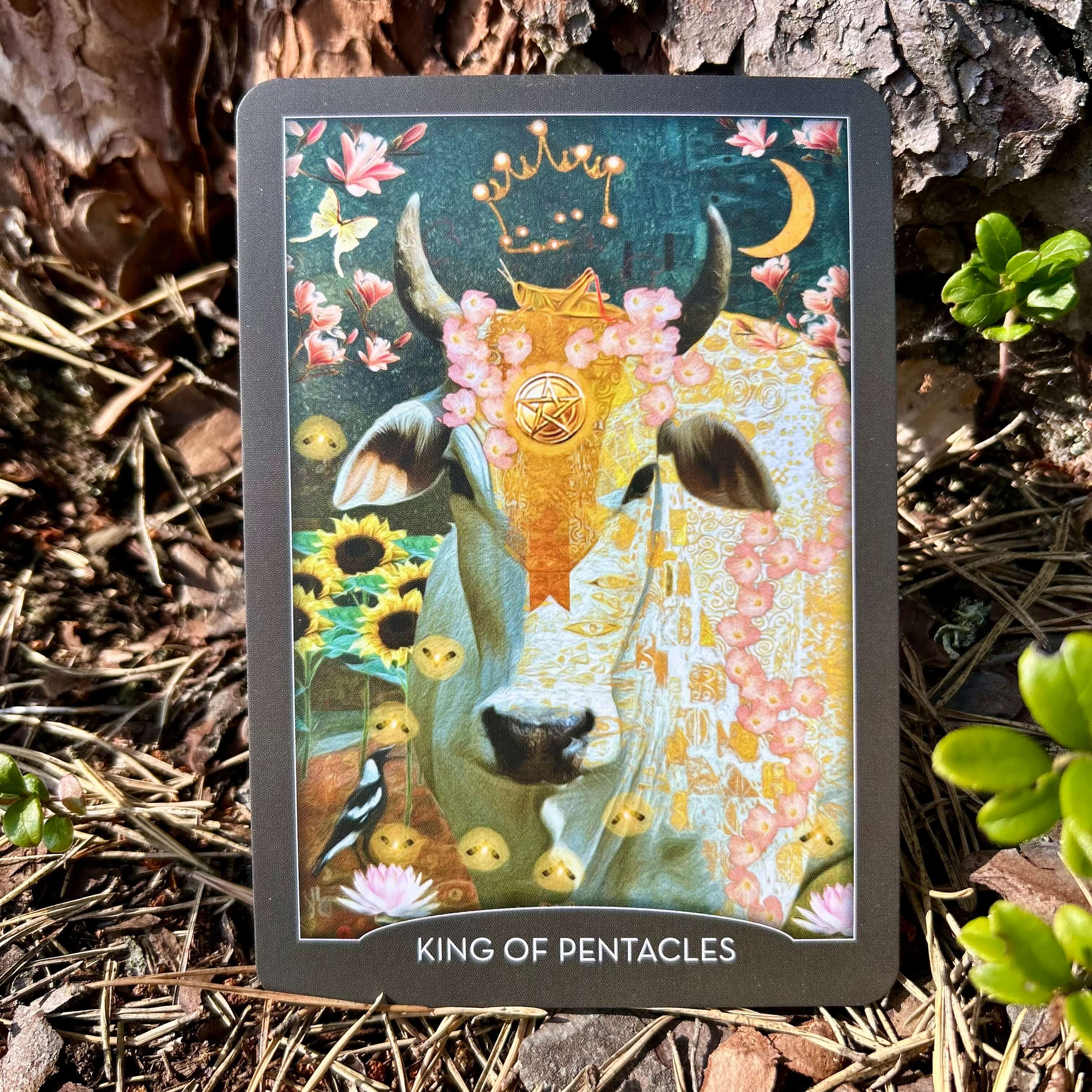 The Guardian of the Night Tarot