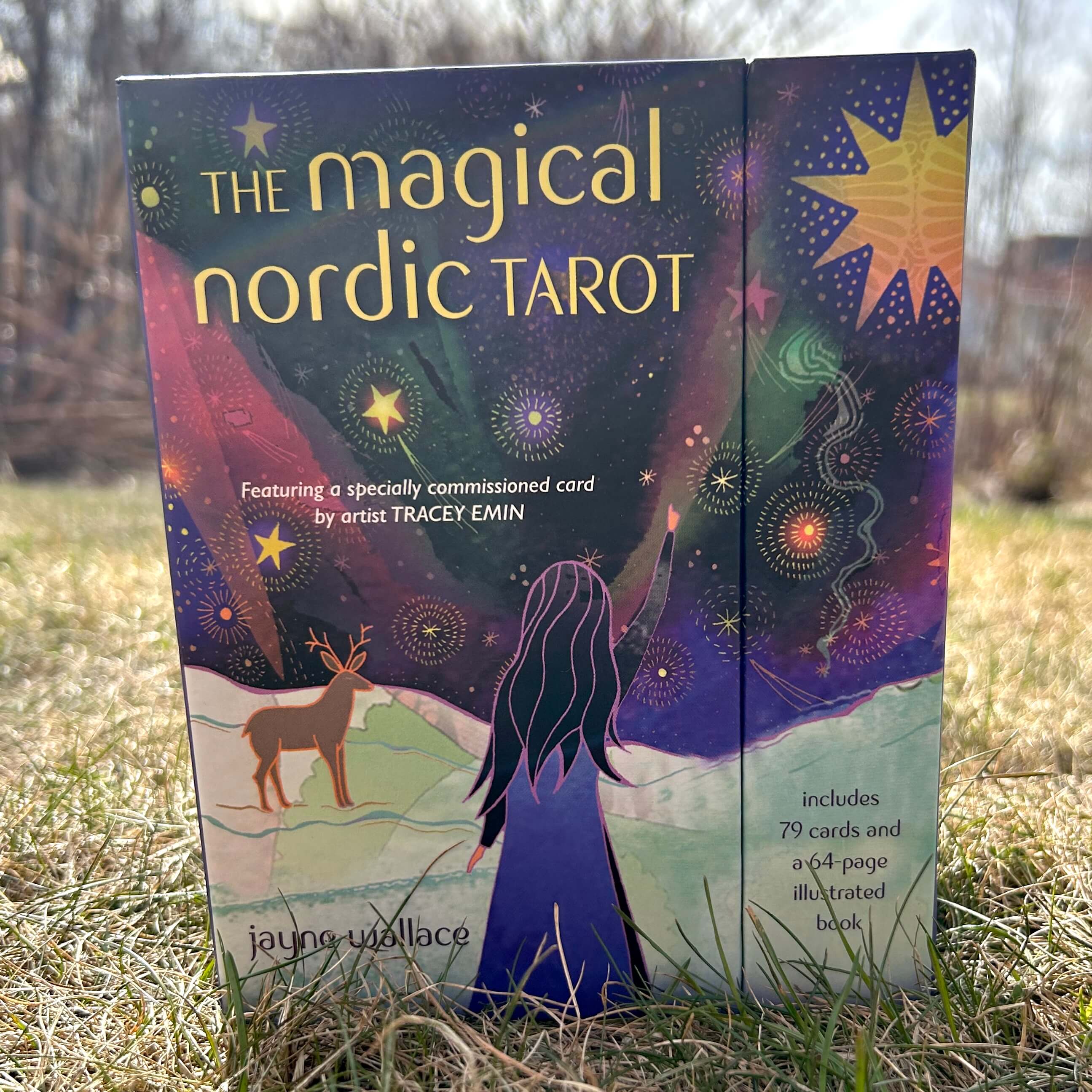 The Magical Nordic Tarot
