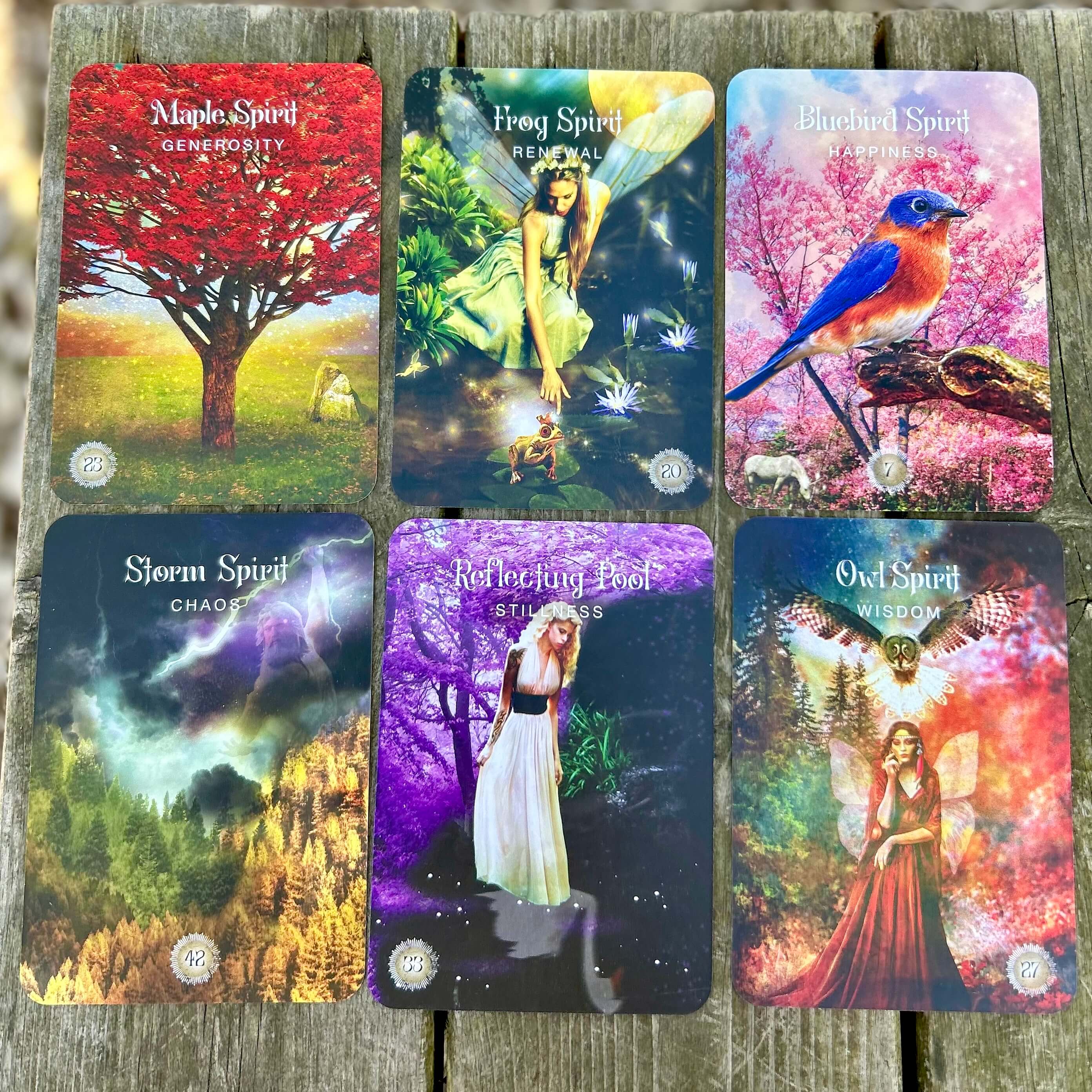 The Sacred Forest Oracle