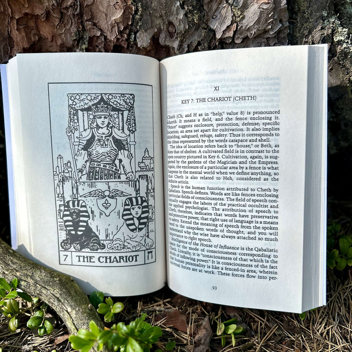 The Tarot: A Key to the Wisdom of the Ages