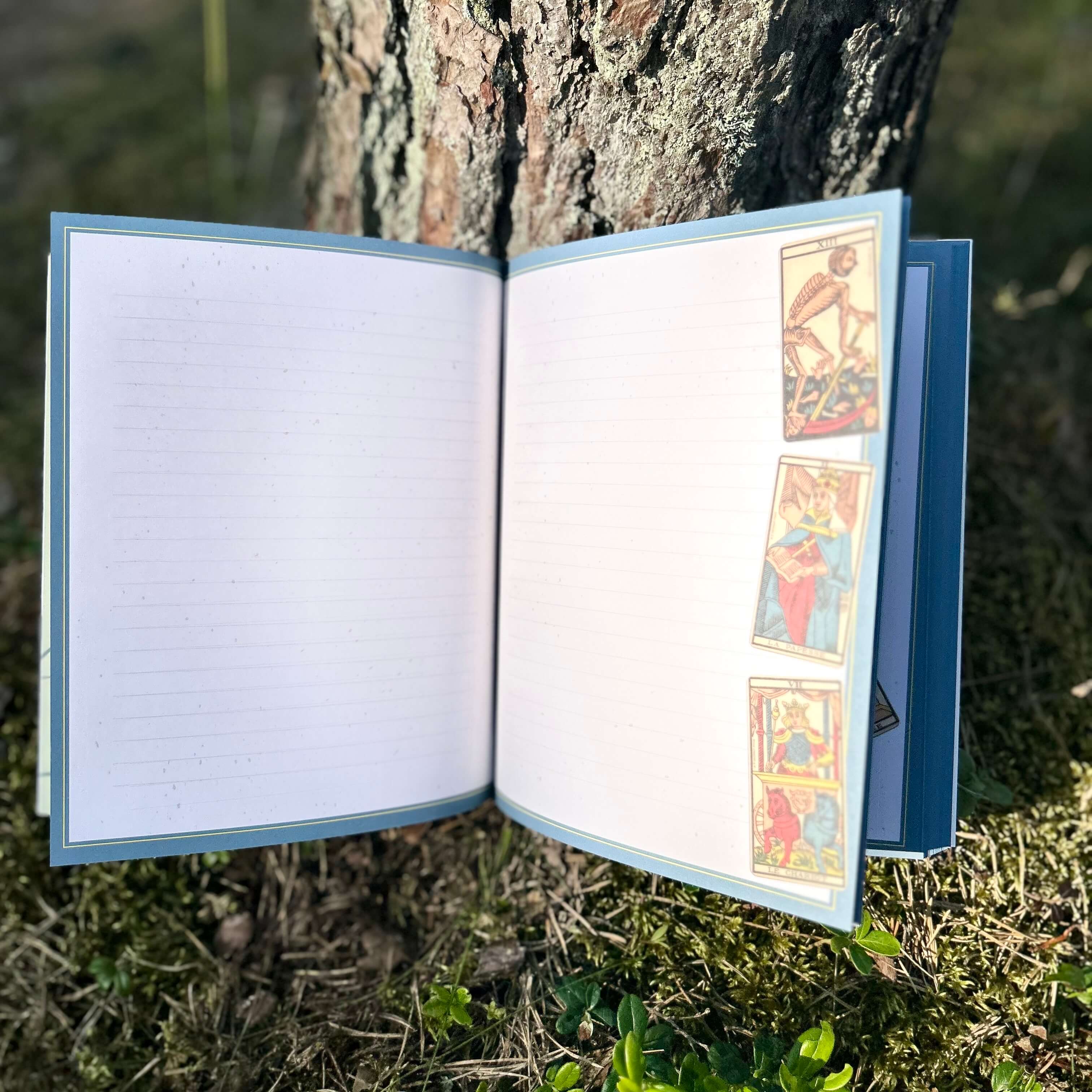 The Tarot Journal: Record Your Readings and Gain Insight into Your Life