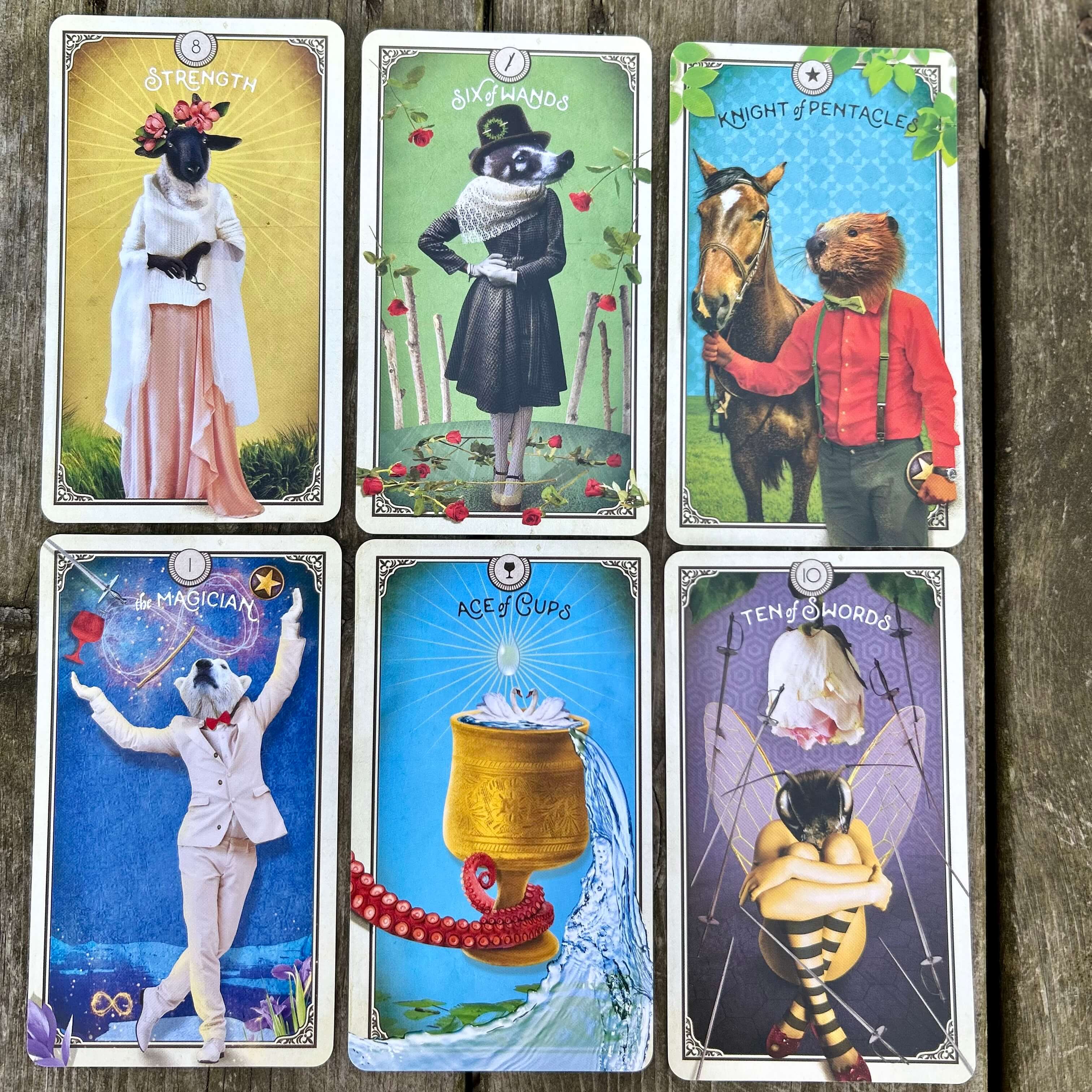The Tarot of Curious Creatures