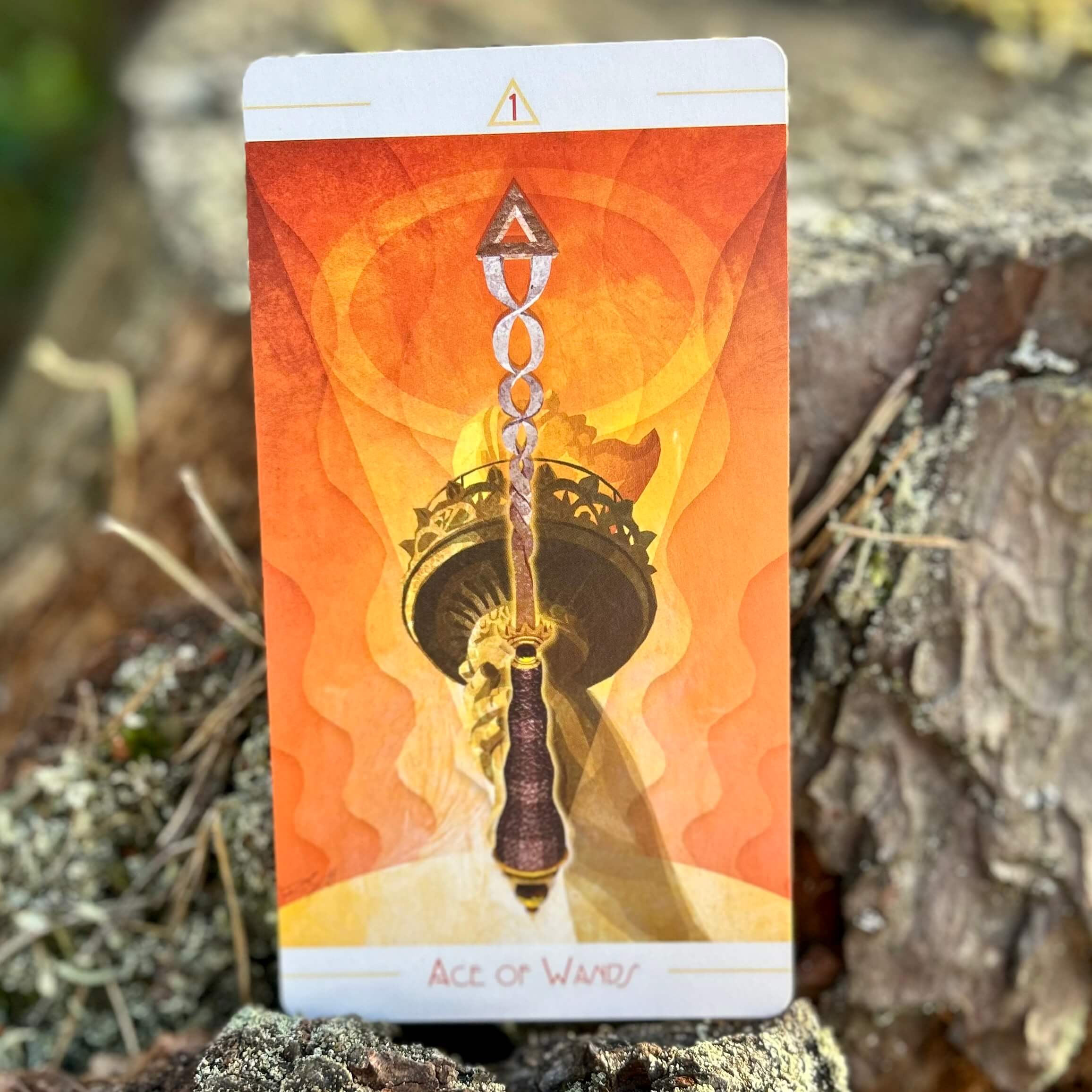 The Urban Tarot