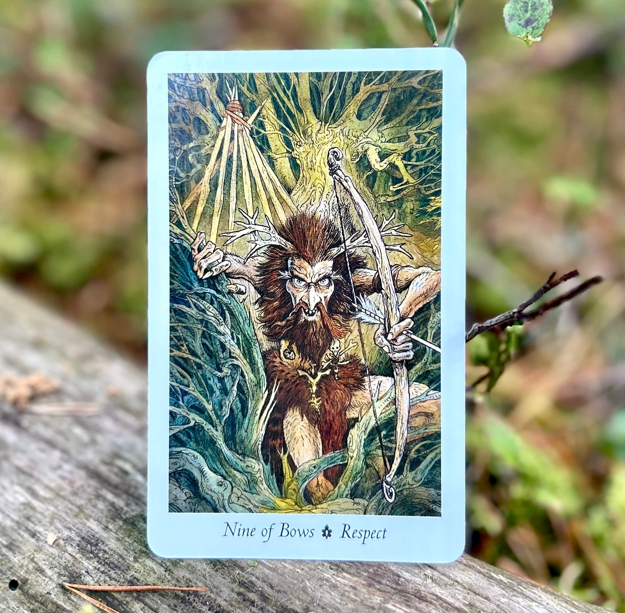 The Wildwood Tarot