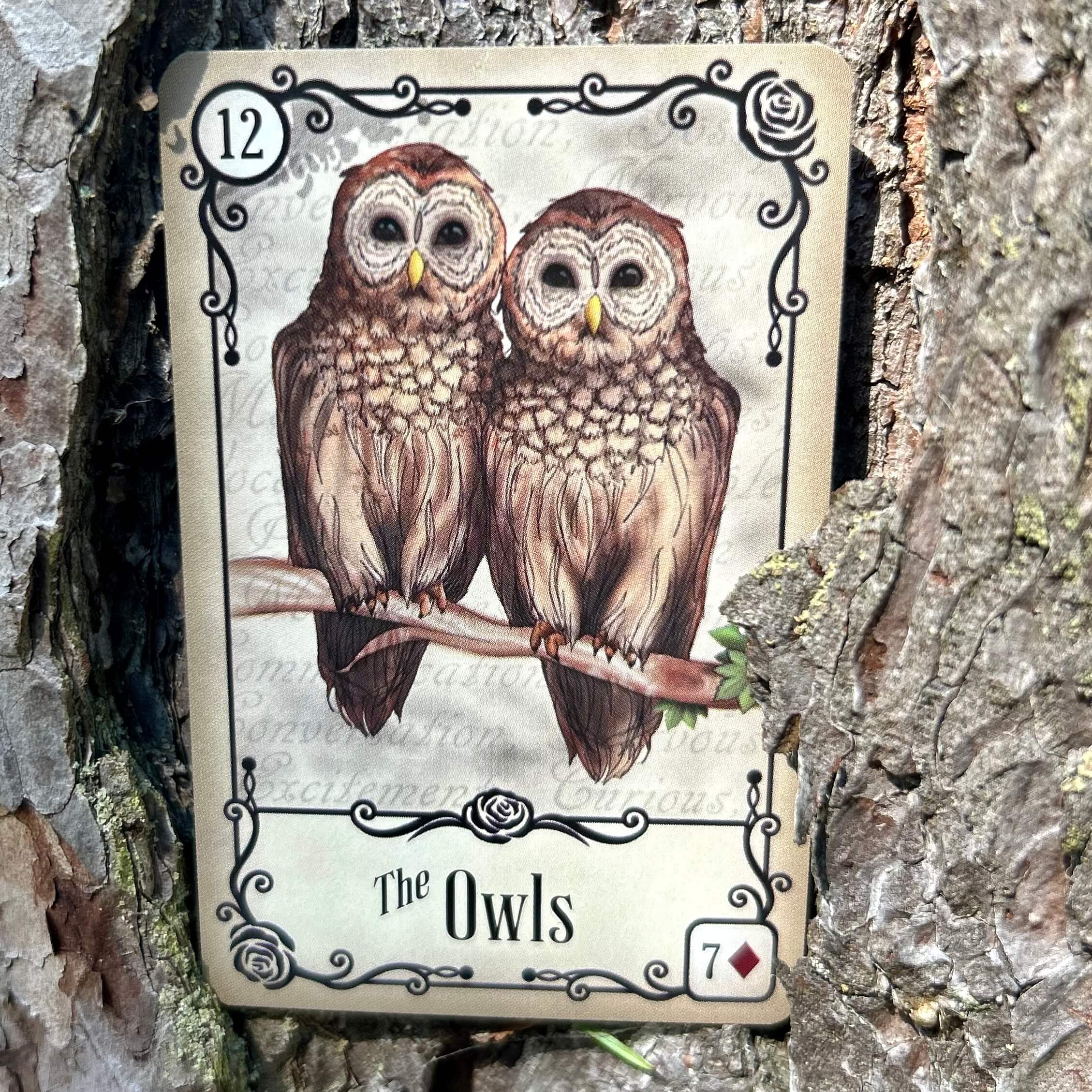 Under the Roses Lenormand