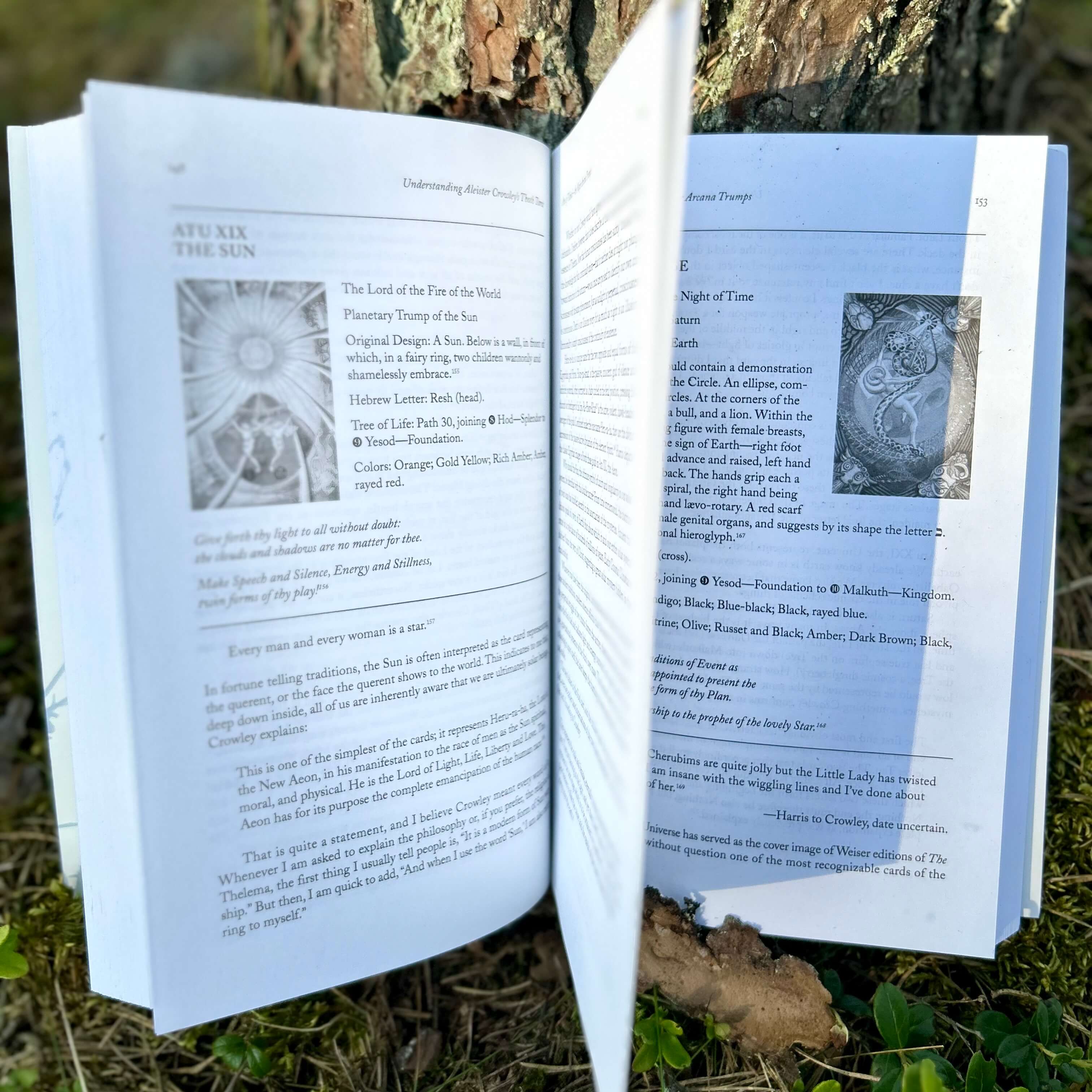Understanding Aleister Crowley's Thoth Tarot: New Edition