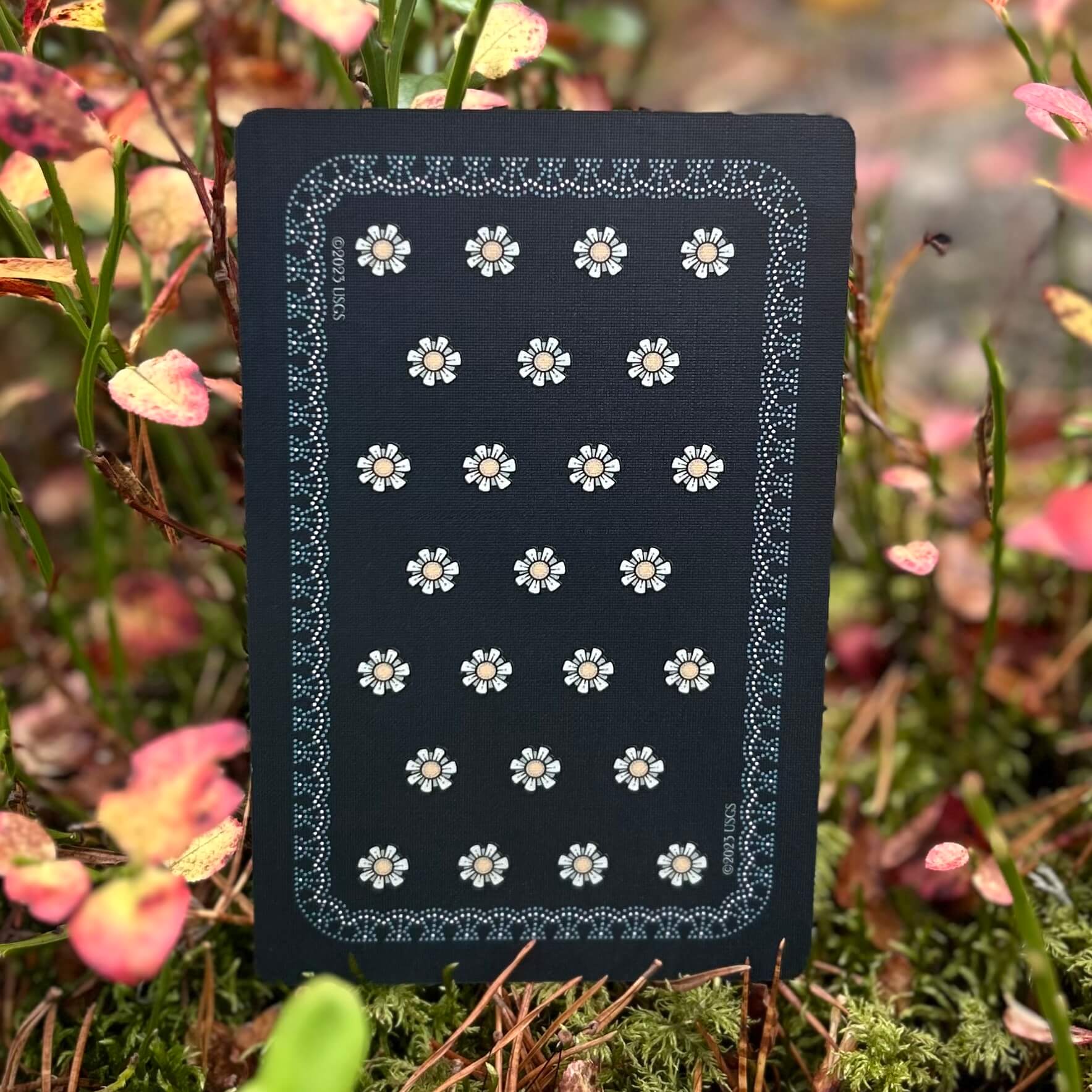 Universal Folk Tarot