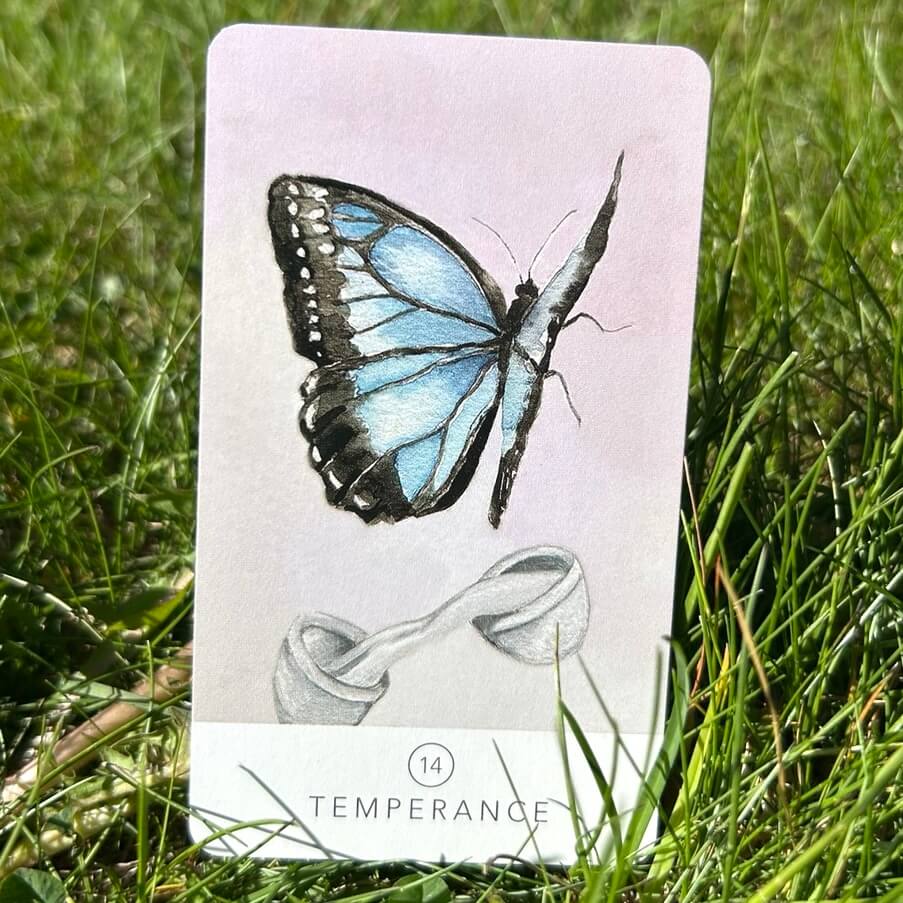 White Sage Tarot