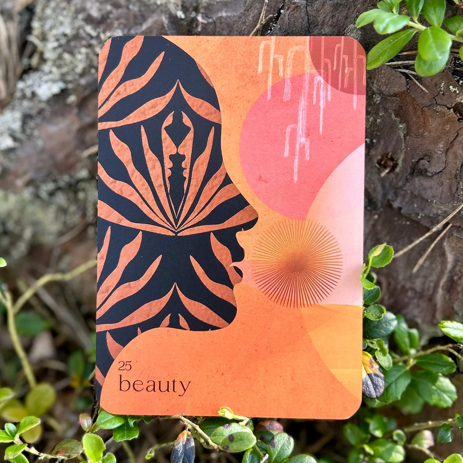 Wild Whispers Oracle: Messages from the Desert