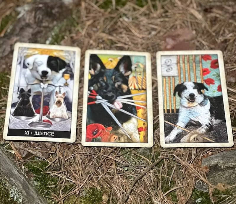 Wise Dog Tarot