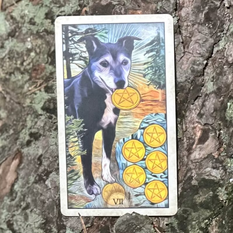 Wise Dog Tarot